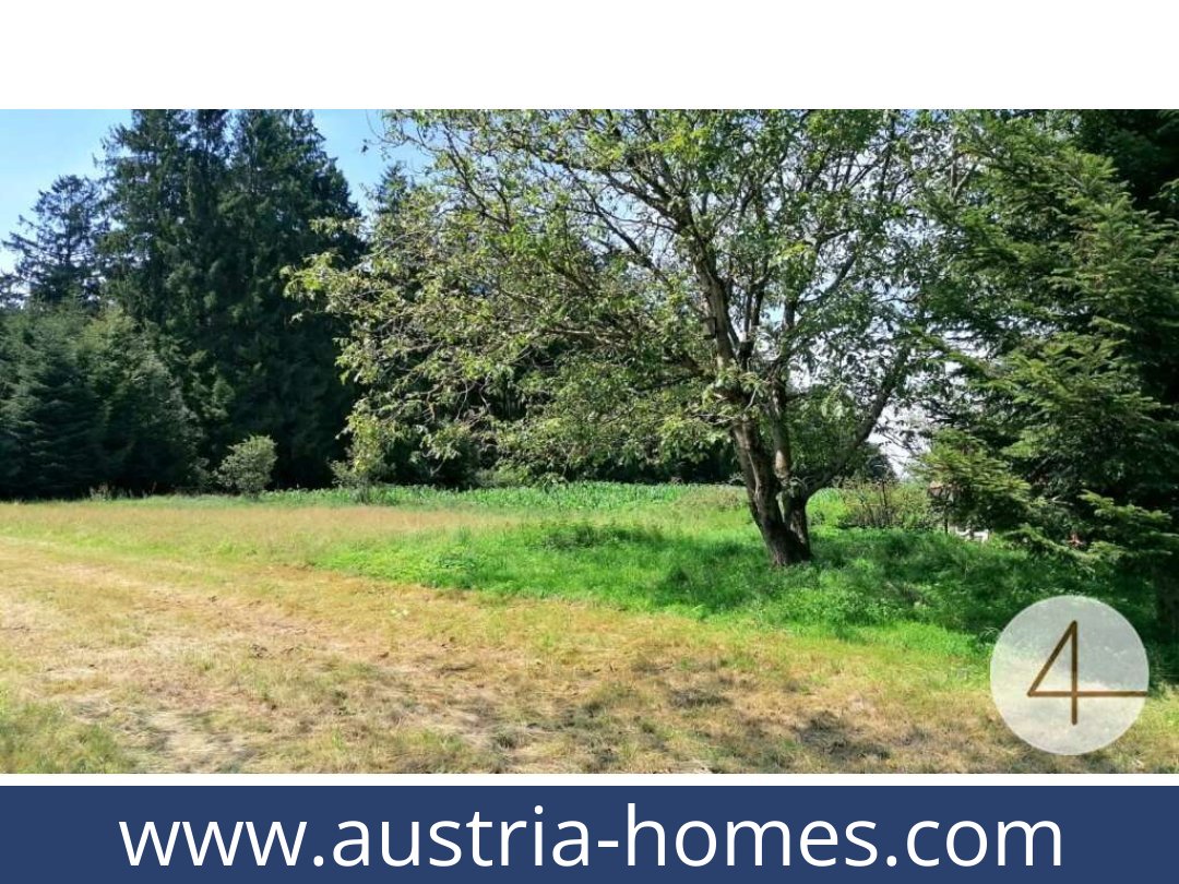 austria-homes-sankt willibald-4762-20260313224830-0066501002.jpg